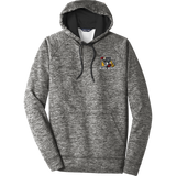 Dupage Black Bears Electric Heather Fleece Hooded Pullover